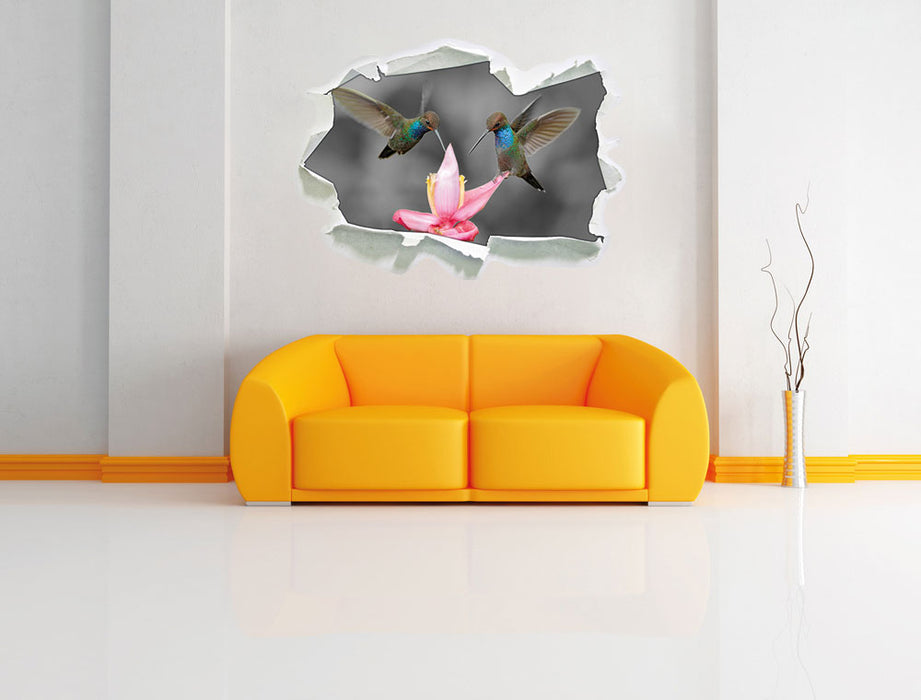 Kolibris in den Tropen 3D Wandtattoo Papier Wand