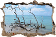 Strand mit Treibholz in Kuba  3D Wandtattoo Wanddurchbruch
