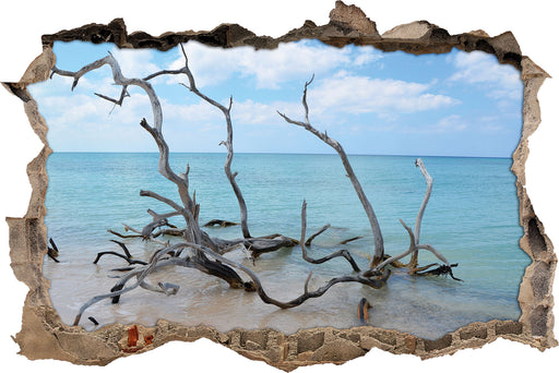 Strand mit Treibholz in Kuba  3D Wandtattoo Wanddurchbruch