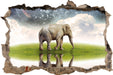Einsamer Elefant Sternenhimmel  3D Wandtattoo Wanddurchbruch