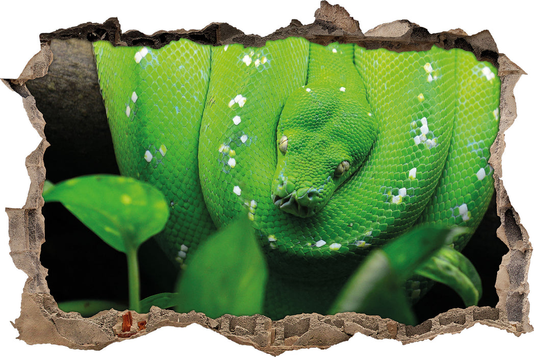 Pixxprint Grüne elegante Schlange, 3D Wandtattoo