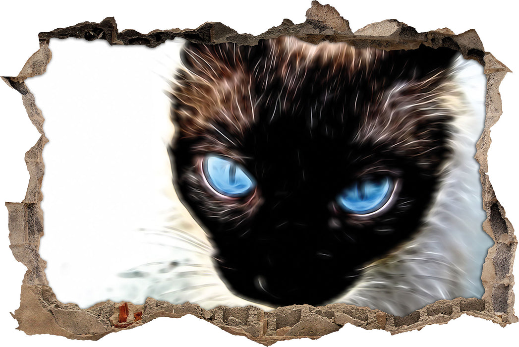 Schwarze elegante Katze  3D Wandtattoo Wanddurchbruch