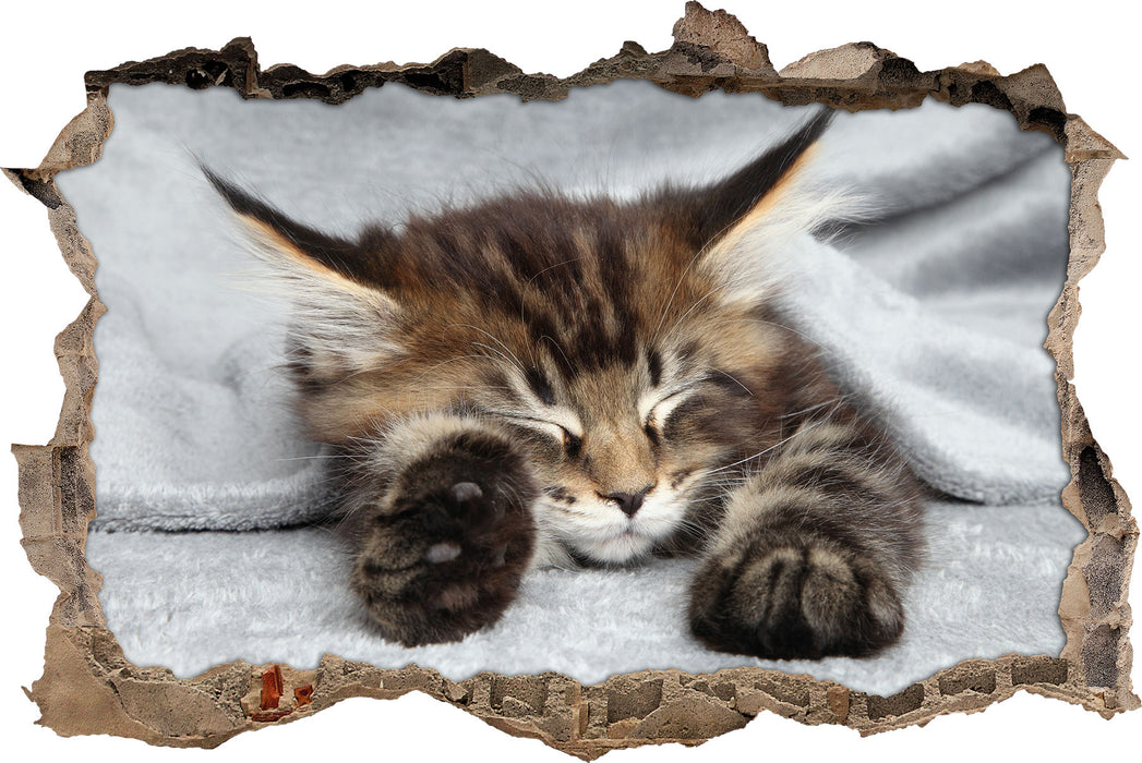 Pixxprint Kleines süßes Kätzchen, 3D Wandtattoo