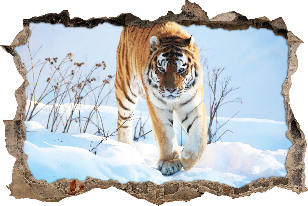 Pixxprint Stolzer Tiger im Schnee, 3D Wandtattoo