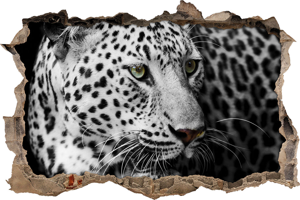 Pixxprint Stolzer Leopard, 3D Wandtattoo