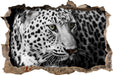 Stolzer Leopard  3D Wandtattoo Wanddurchbruch
