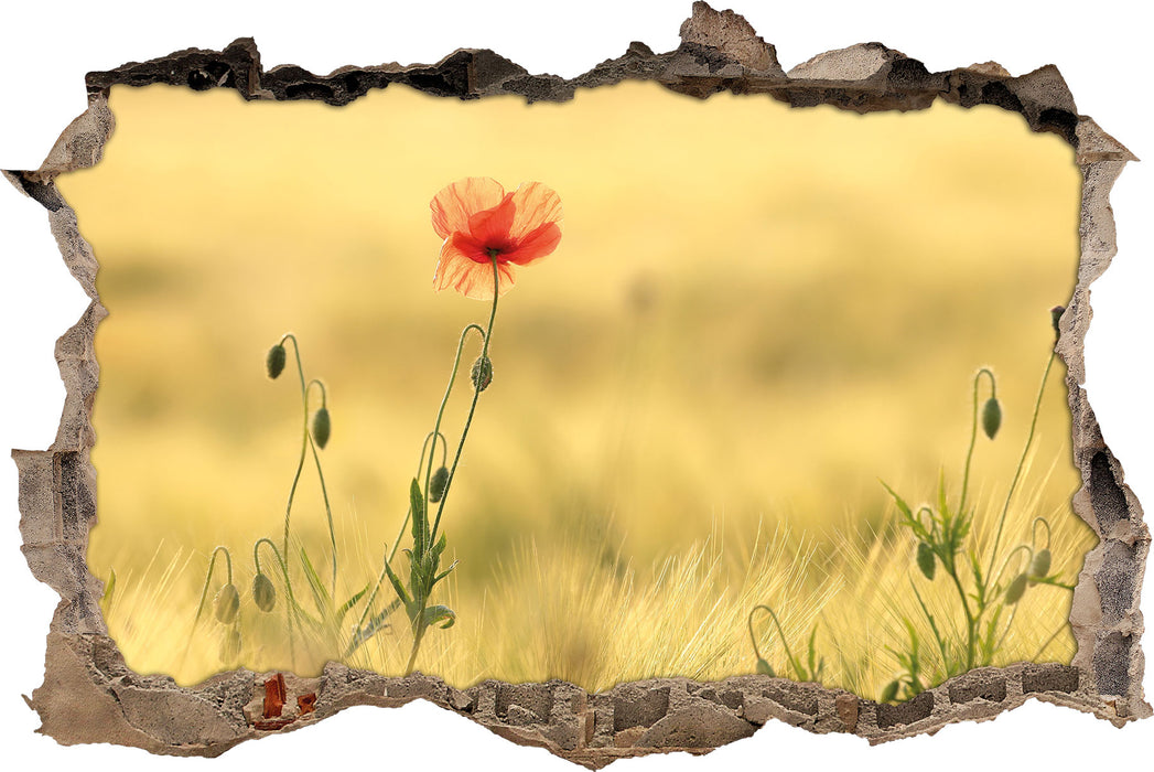 Pixxprint Wunderschöne Mohnblume im Feld, 3D Wandtattoo