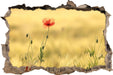 Wunderschöne Mohnblume im Feld  3D Wandtattoo Wanddurchbruch