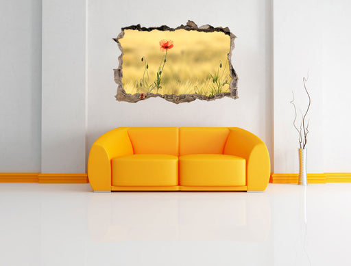 Wunderschöne Mohnblume im Feld 3D Wandtattoo Wanddurchbruch Wand
