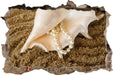 Muschel mit Perlenkette  3D Wandtattoo Wanddurchbruch