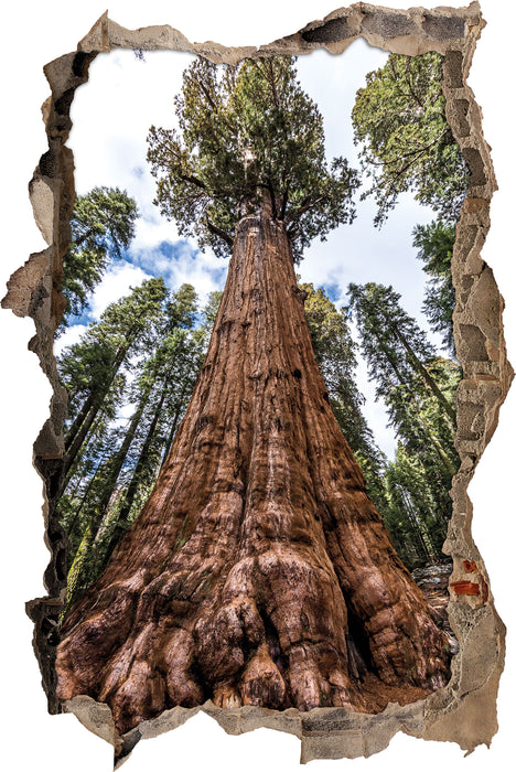 Pixxprint Baum im Regenwald, 3D Wandtattoo