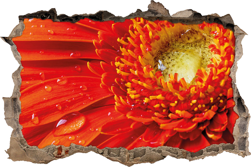 Pixxprint Wunderschöne Gerberablüte, 3D Wandtattoo