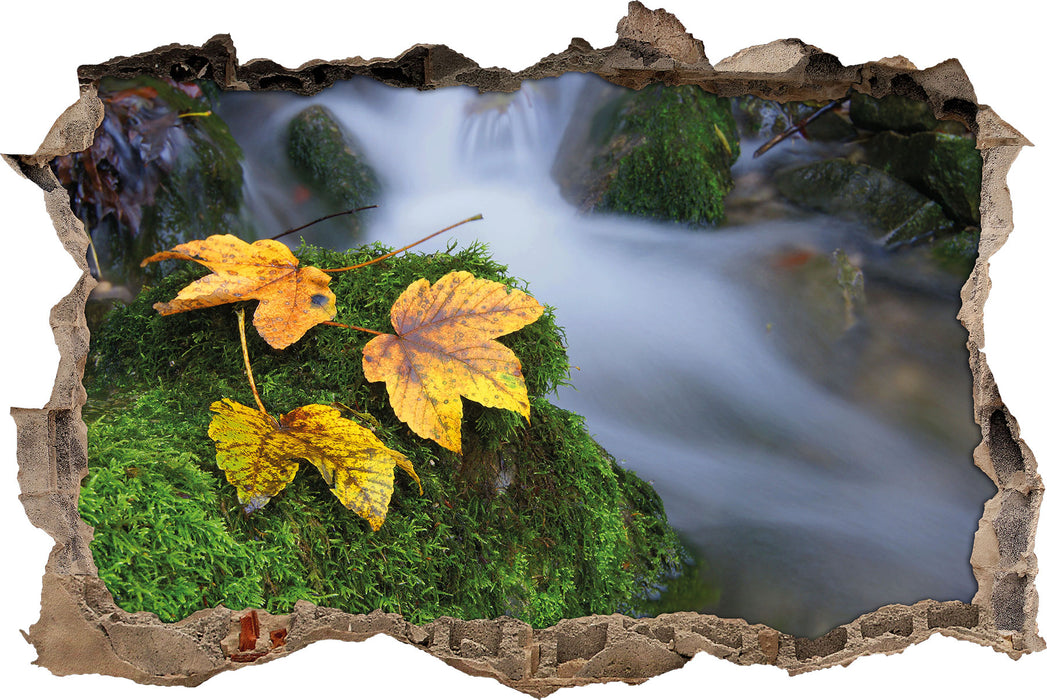 Pixxprint Blätter auf Moos an Bach, 3D Wandtattoo