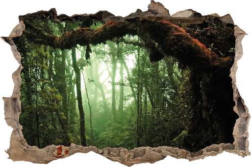 Geheimnisvoller Regenwald  3D Wandtattoo Wanddurchbruch