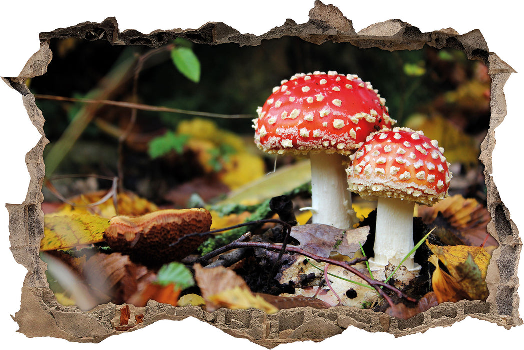 Pixxprint Pilz im Wald, 3D Wandtattoo