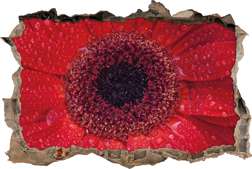 Pixxprint Wassertropfen auf roter Blüte, 3D Wandtattoo