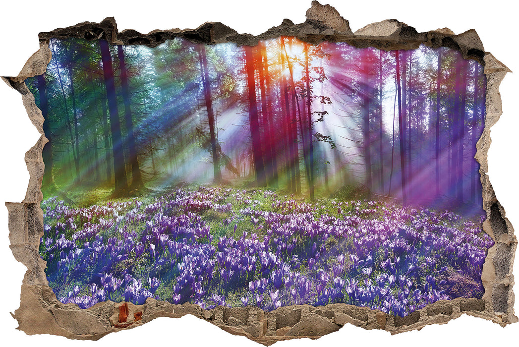 Pixxprint Krokusse im Wald, 3D Wandtattoo