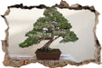 Bonsai Baum  3D Wandtattoo Wanddurchbruch