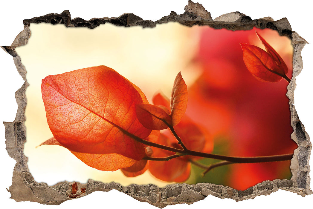 Pixxprint Sonnenstrahlen im Herbst, 3D Wandtattoo