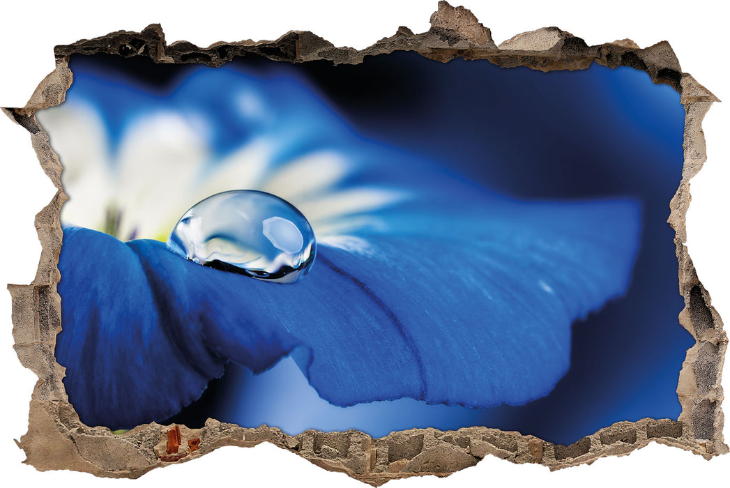 Wassertropfen auf blauer Blüte  3D Wandtattoo Wanddurchbruch