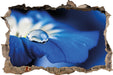 Wassertropfen auf blauer Blüte  3D Wandtattoo Wanddurchbruch