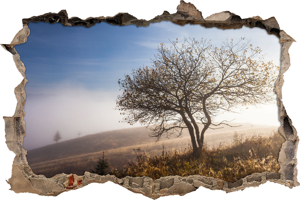 Pixxprint Baum im hohen Gras, 3D Wandtattoo