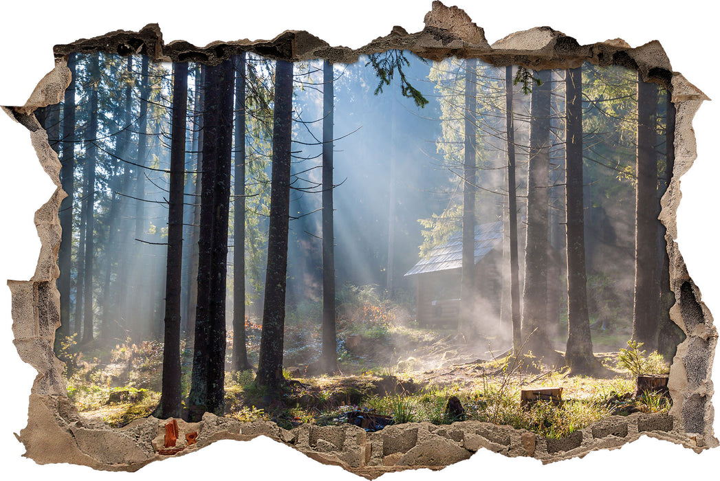 Pixxprint Sonnenstrahlen im Wald, 3D Wandtattoo