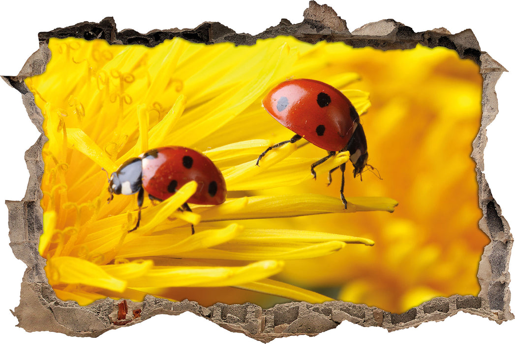 Pixxprint Marienkäfer Nahaufnahme, 3D Wandtattoo