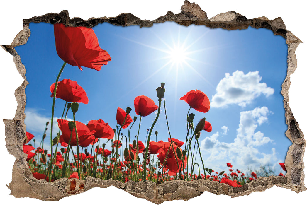 Pixxprint Mohnblumen, 3D Wandtattoo