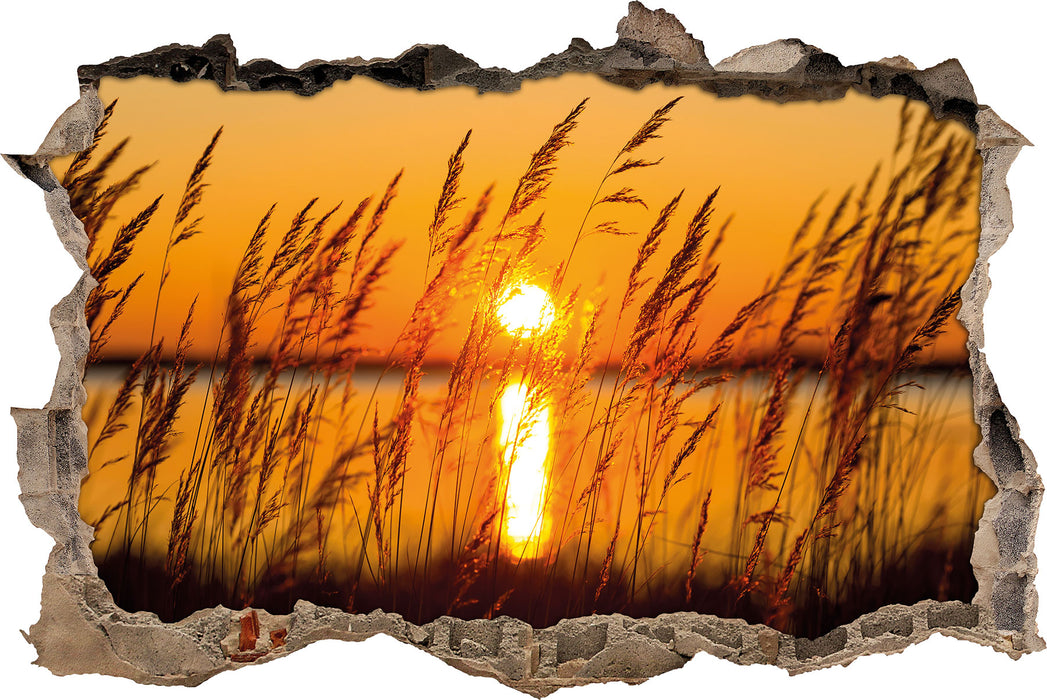 Pixxprint Sonne zwischen Gräsern, 3D Wandtattoo