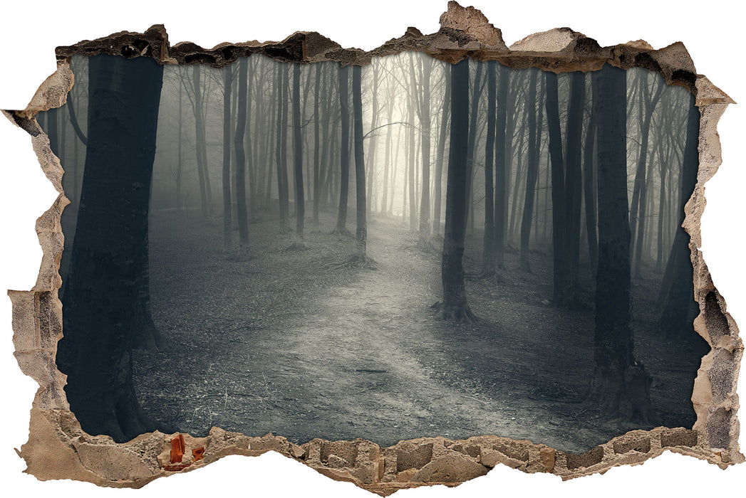 Pixxprint Düstere Landschaft schwarz weiß, 3D Wandtattoo