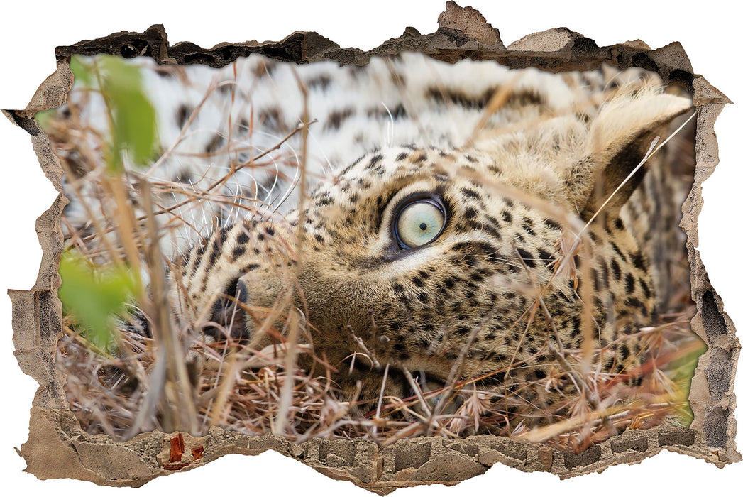 Pixxprint Leopard, 3D Wandtattoo