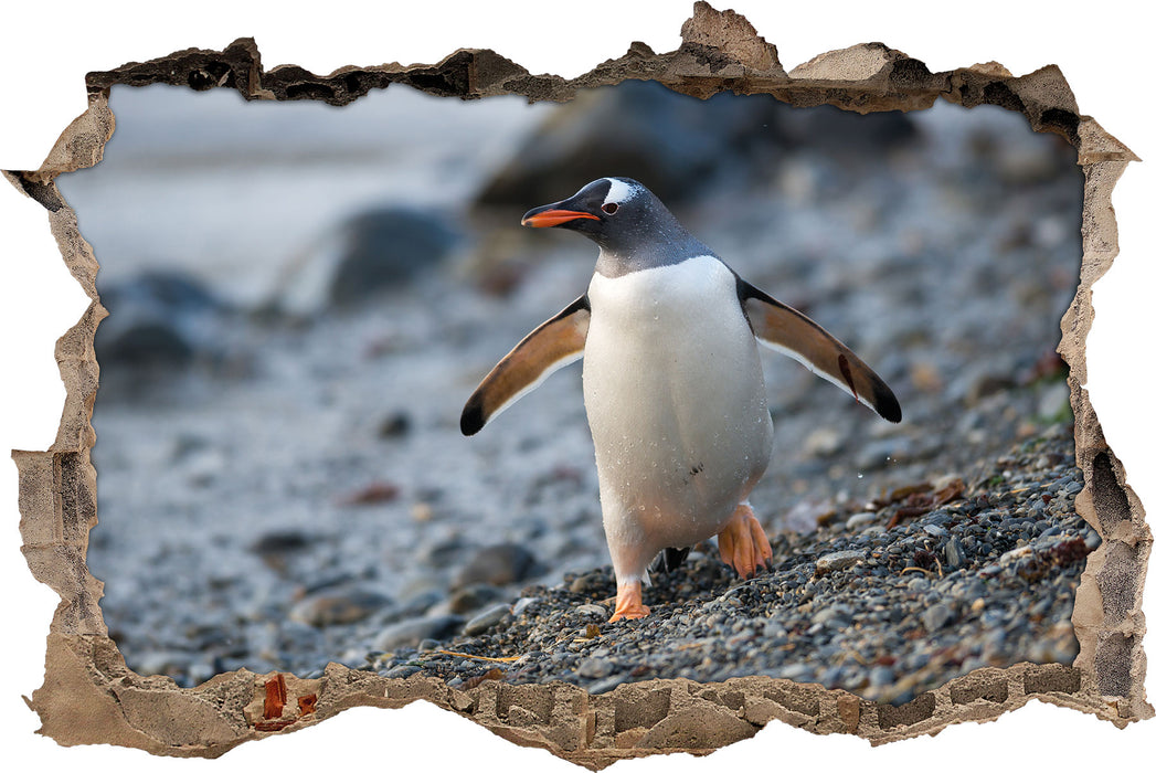 Pinguine  3D Wandtattoo Wanddurchbruch