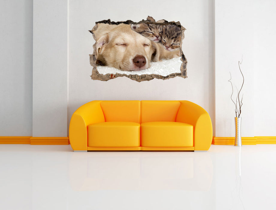 Kätzchen und Hund schmusend 3D Wandtattoo Wanddurchbruch Wand