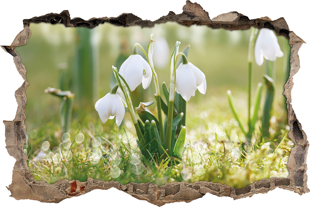 Pixxprint Maiglöckchen, 3D Wandtattoo