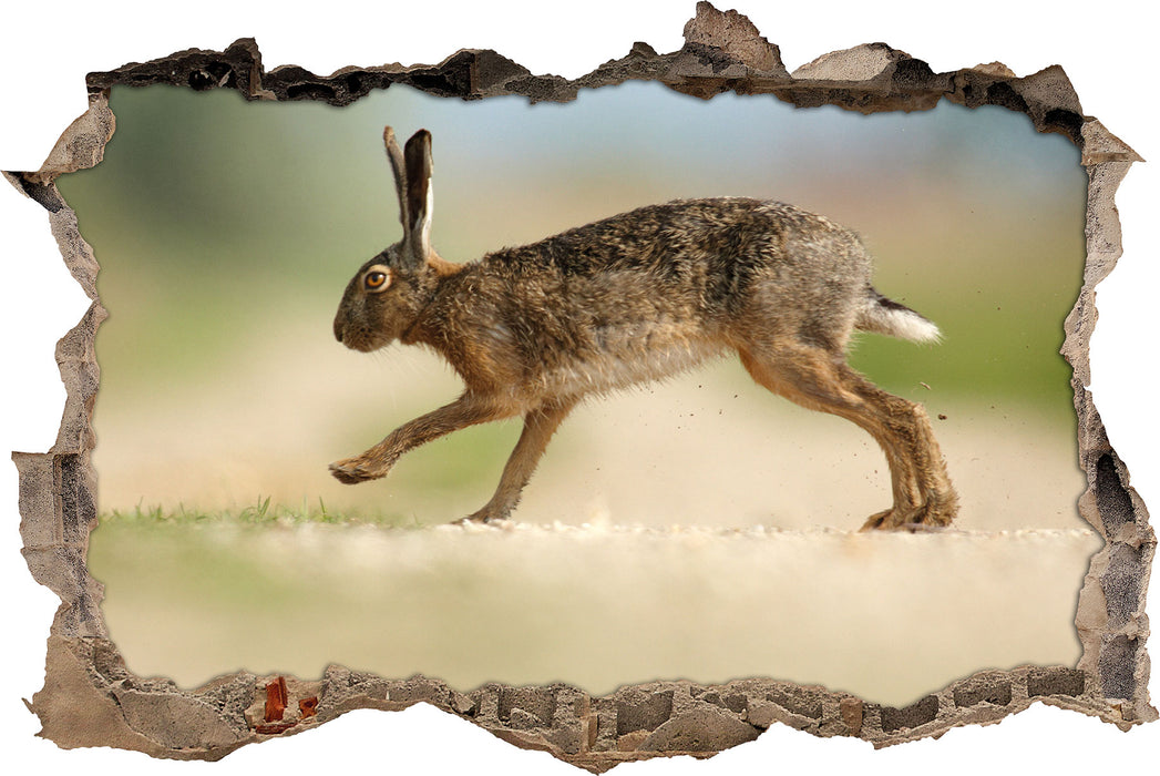 Pixxprint Hüpfender Hase, 3D Wandtattoo