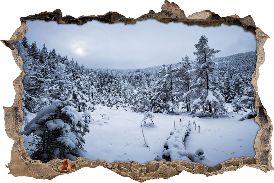 Pixxprint Winterlandschaft vereister See, 3D Wandtattoo