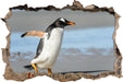 Pinguin am Strand  3D Wandtattoo Wanddurchbruch