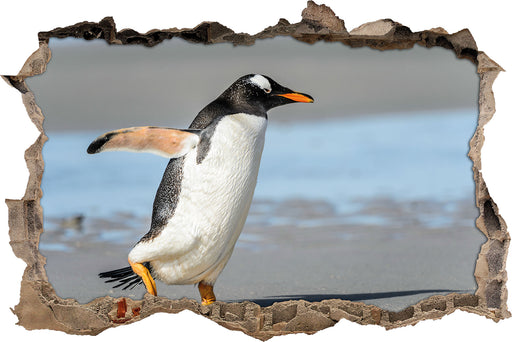Pinguin am Strand  3D Wandtattoo Wanddurchbruch