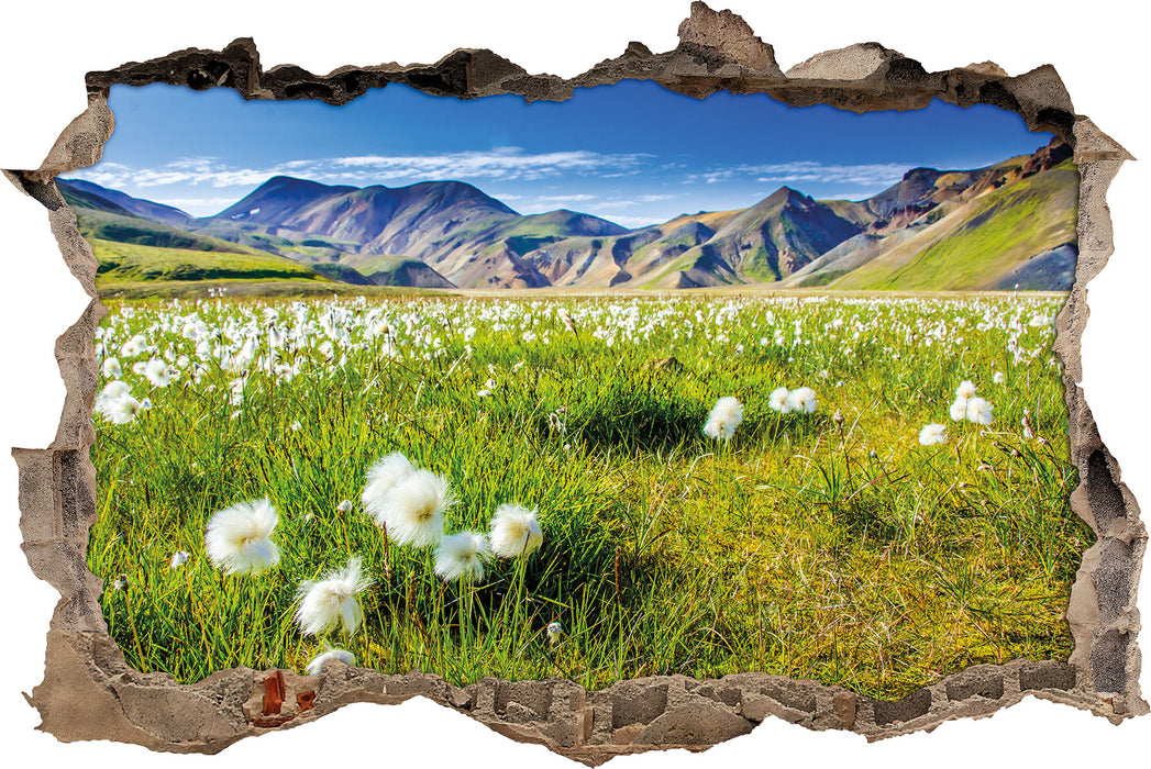 Pixxprint Alpenwiese, 3D Wandtattoo