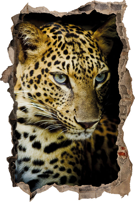 Pixxprint Leopard mit blauen Augen, 3D Wandtattoo