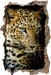 Leopard mit blauen Augen  3D Wandtattoo Wanddurchbruch