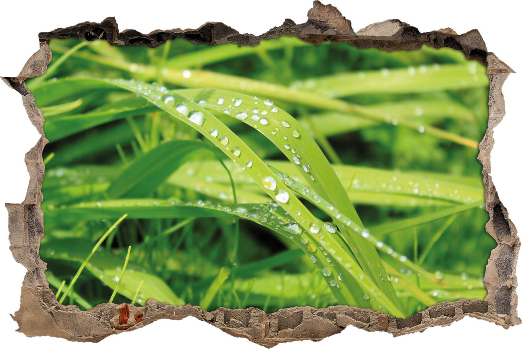 Pixxprint Grashalme, 3D Wandtattoo