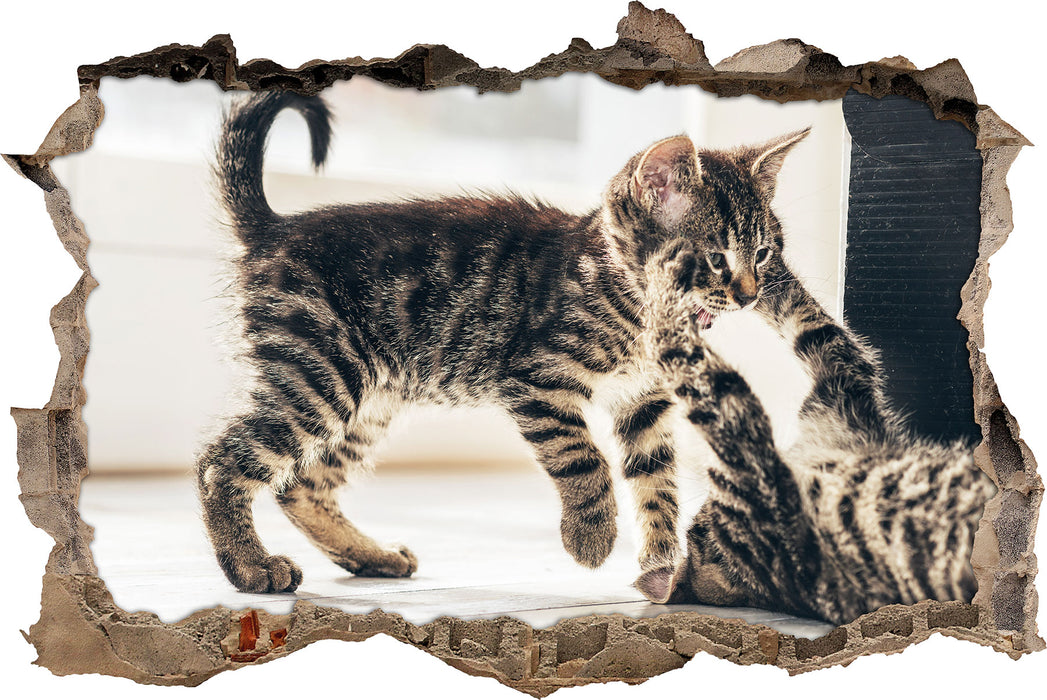 Pixxprint Fighting Cats, 3D Wandtattoo
