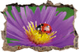 Marienkäfer auf Blume  3D Wandtattoo Wanddurchbruch