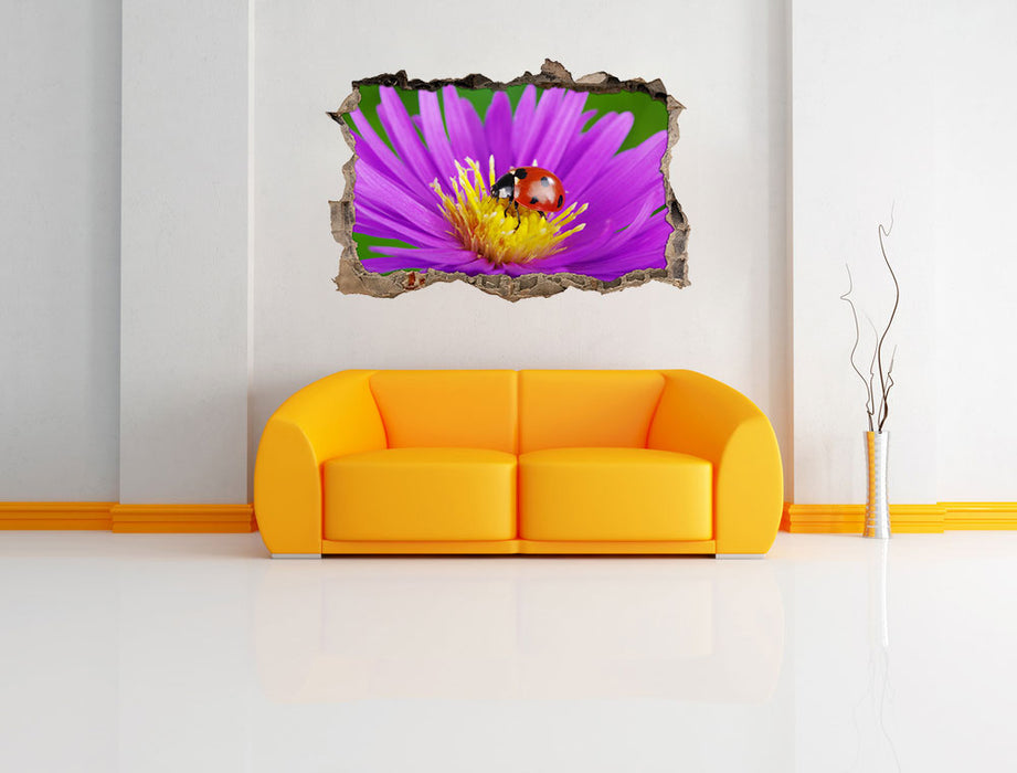 Marienkäfer auf Blume 3D Wandtattoo Wanddurchbruch Wand
