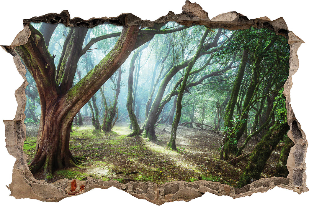 Pixxprint Wald, 3D Wandtattoo