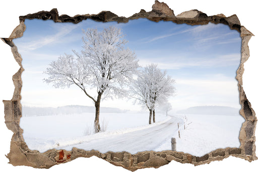 Baum im Schnee  3D Wandtattoo Wanddurchbruch