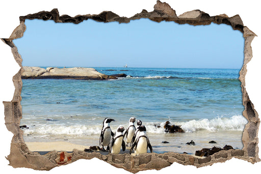 Pinguine am Strand  3D Wandtattoo Wanddurchbruch