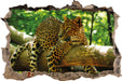 Leopard auf Ast  3D Wandtattoo Wanddurchbruch